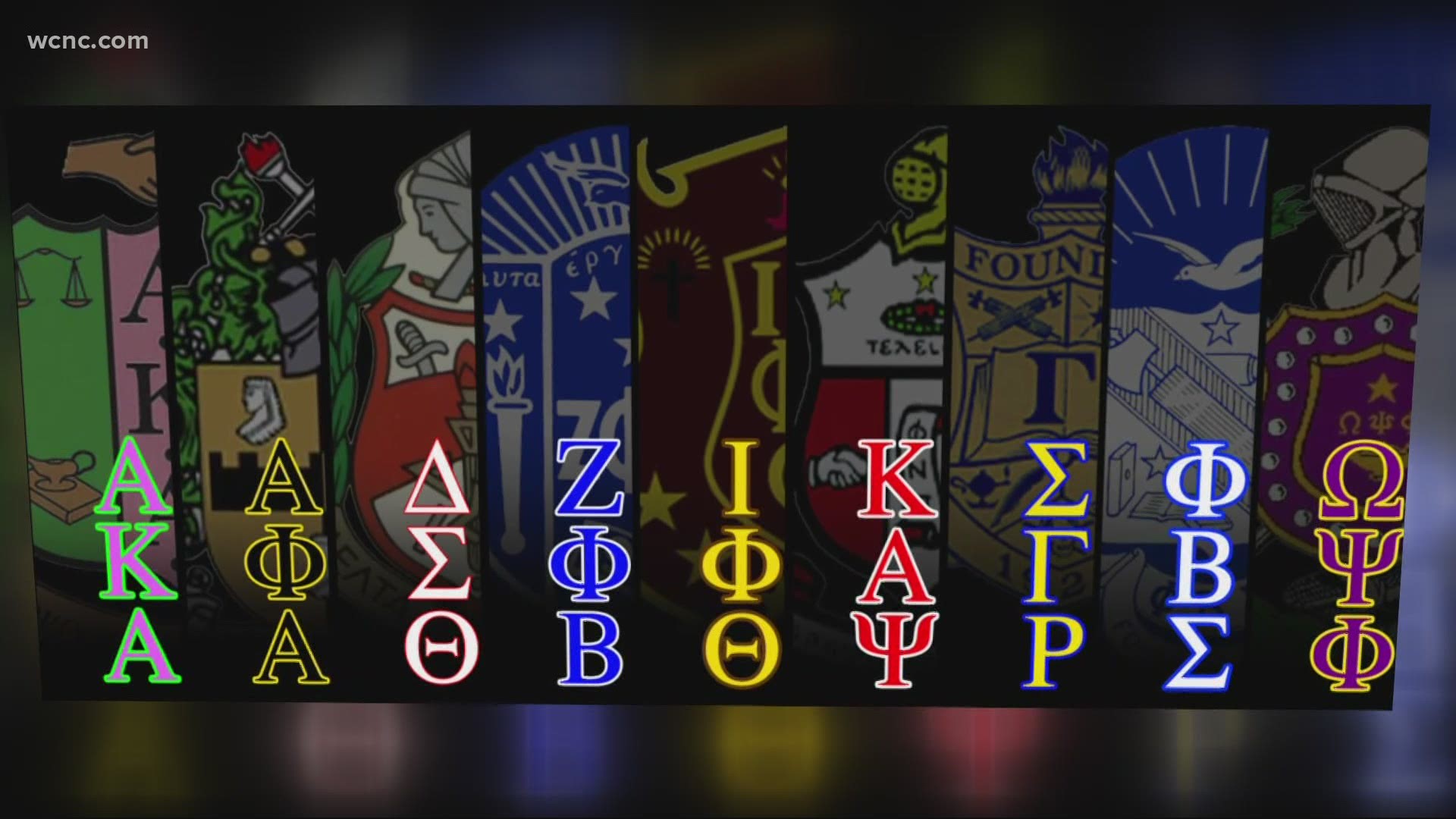 Members of Black Greek-letter organizations gathered at a campus event