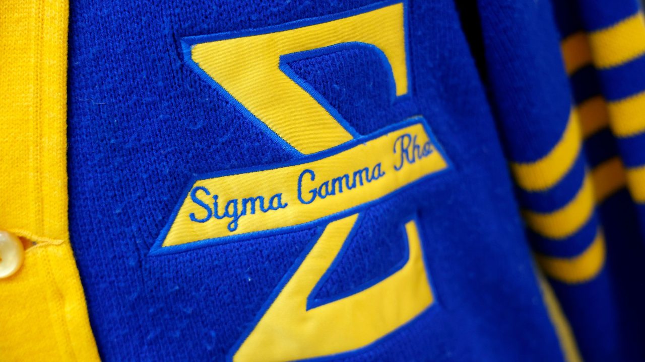 Members of Divine Nine Black Greek-letter organizations gathered at an NPHC event
