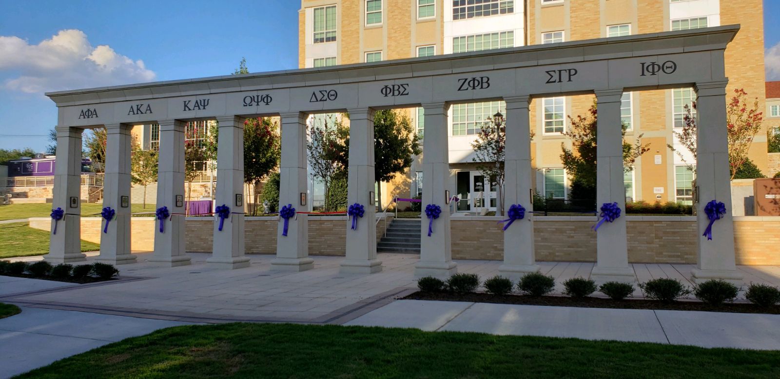 Divine Nine chapter member spotlight in formal attire