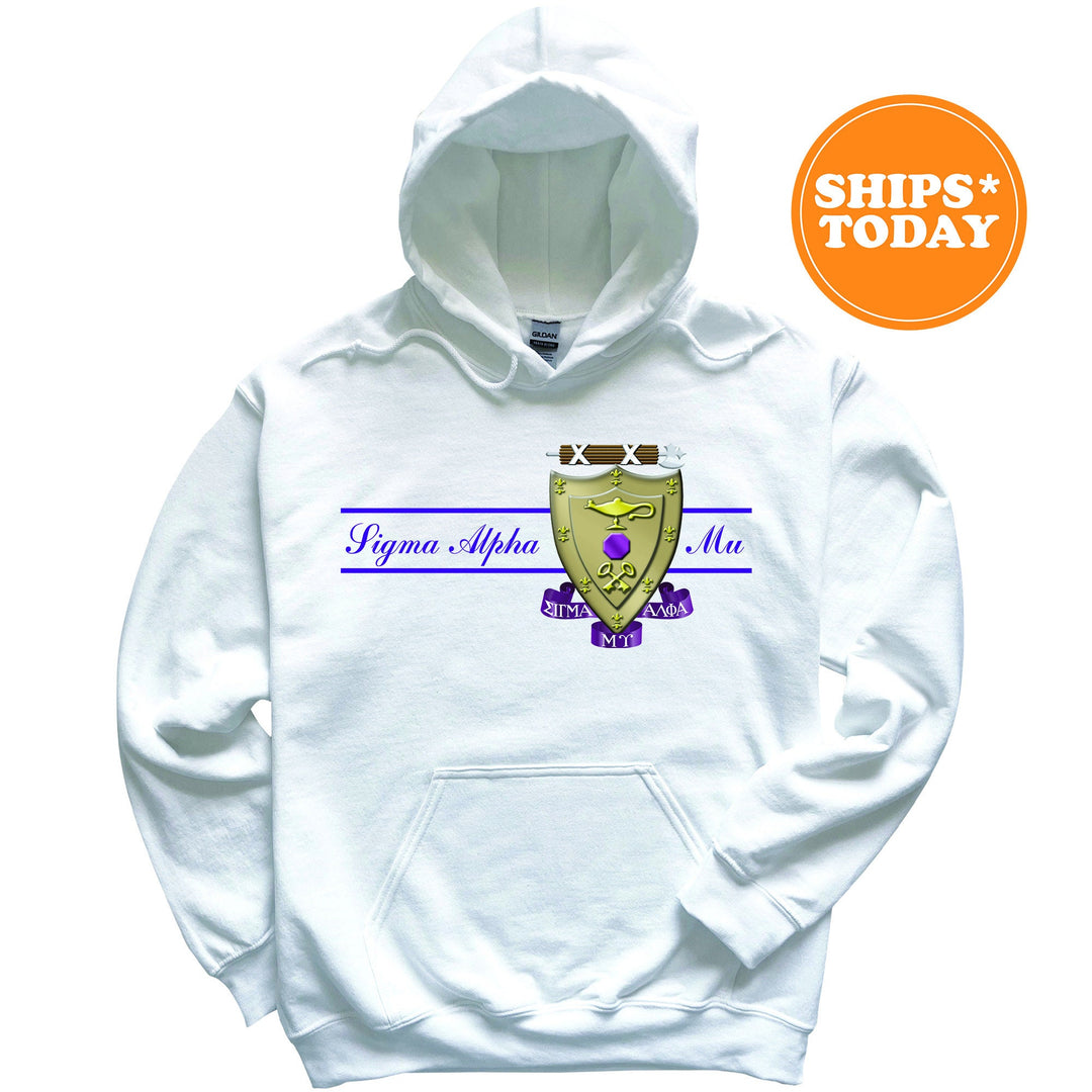 Custom Greek letter sorority sweatshirt for initiated members