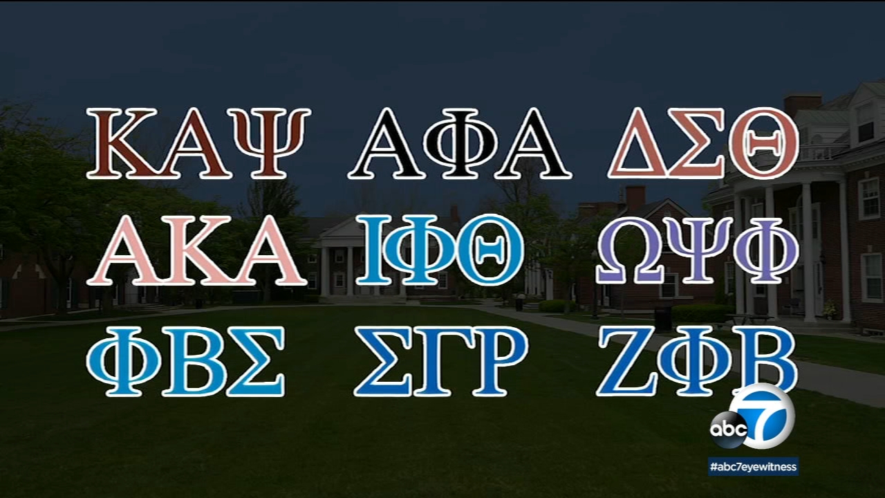 Members of the Divine Nine Black Greek-letter organizations at a Black History Month event